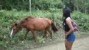 Video porn new big horse cock tiny young girl cum in pussy HD