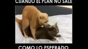 Free download video sex new el gato teniendo sexo y lucho lo graba Mp4